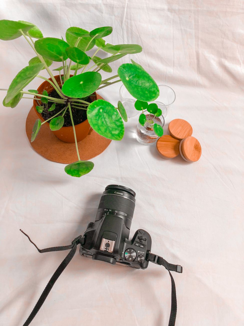 How To Take Better Photos For Beginners