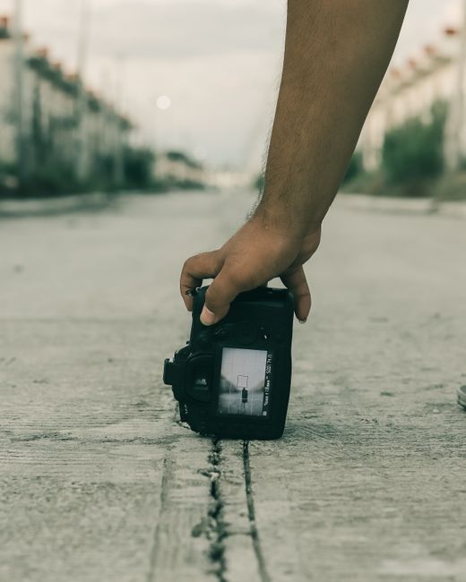 Compose A Photo For Stunning Results