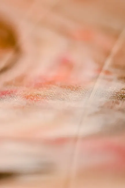 Detail Abstract Macro Texture Number 13