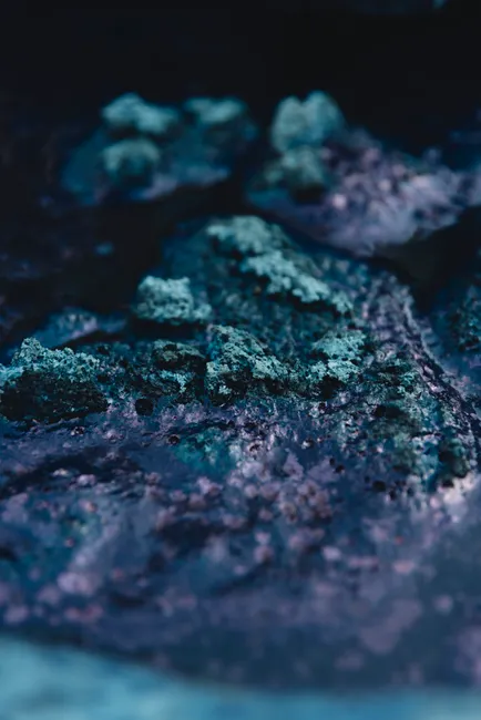 Detail Abstract Macro Texture Number 17