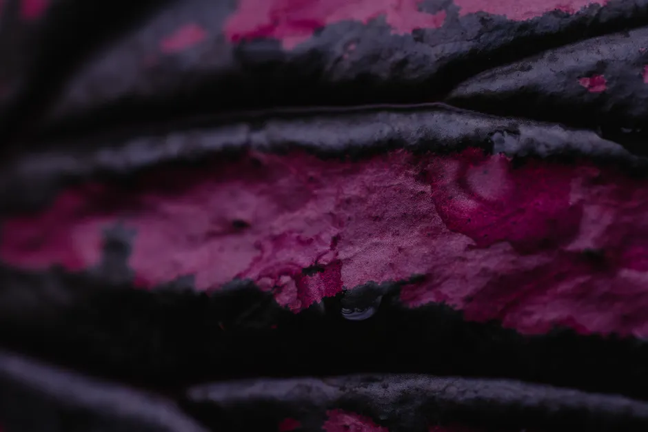 Detail Abstract Macro Texture Number 18