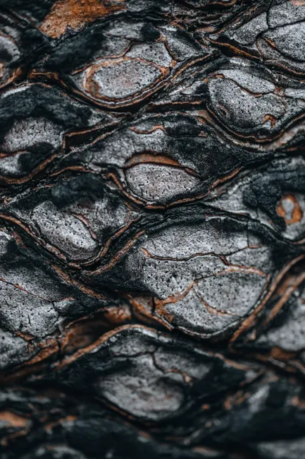 Detail Abstract Macro Texture Number 19
