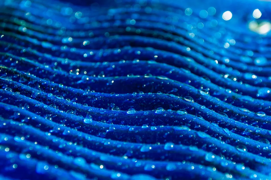 Detail Abstract Macro Texture Number 20