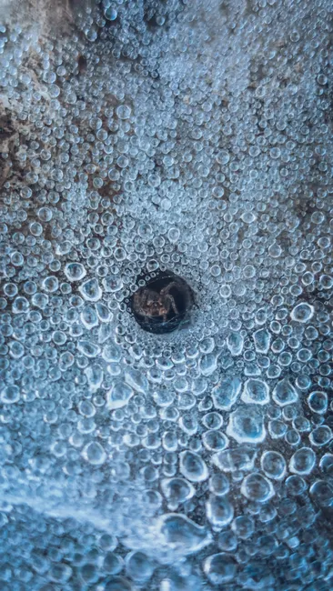 Detail Abstract Macro Texture Number 6