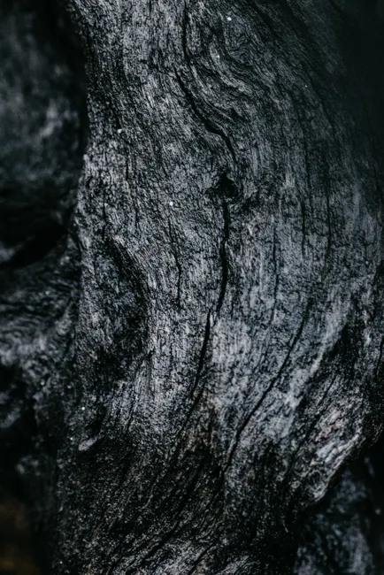 Detail Abstract Macro Texture Number 7