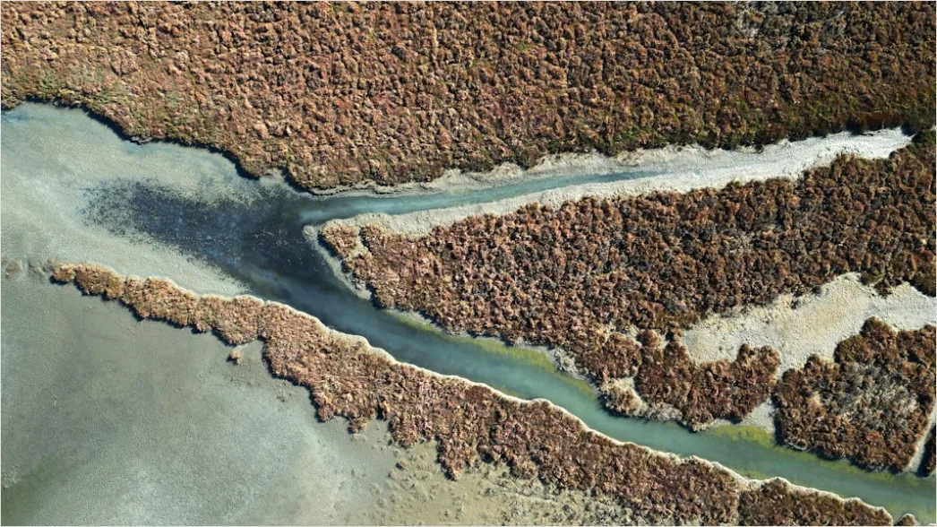 Detail Aerial Abstract Patterns Number 14