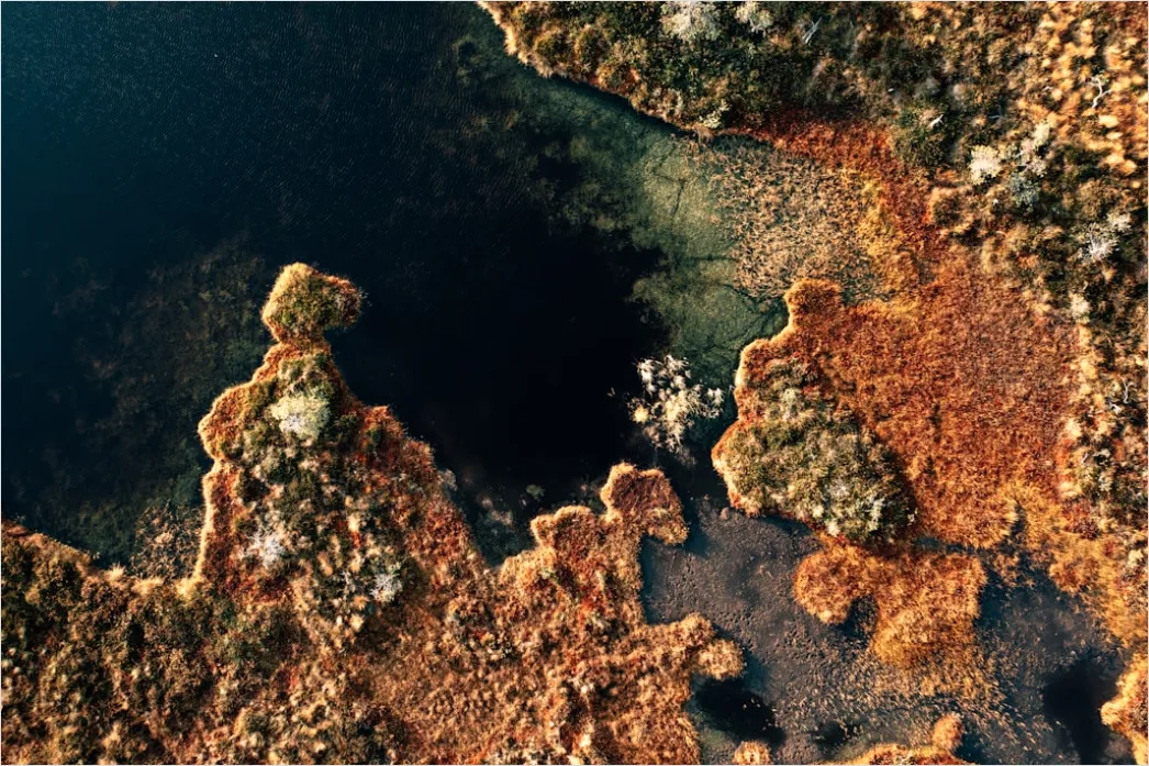 Detail Aerial Abstract Patterns Number 16