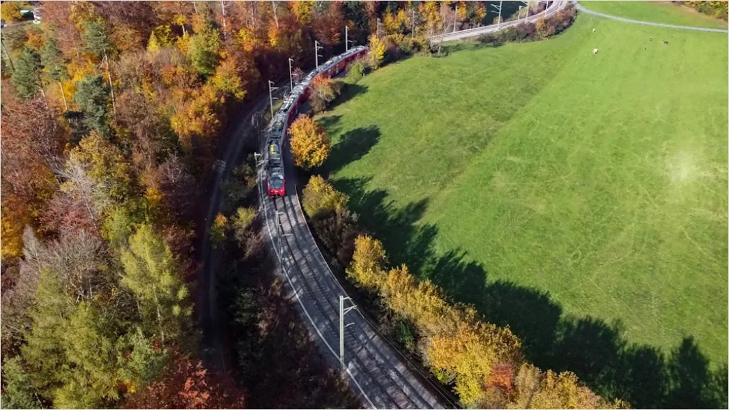 Detail Aerial Autumn Forest Colors Number 11