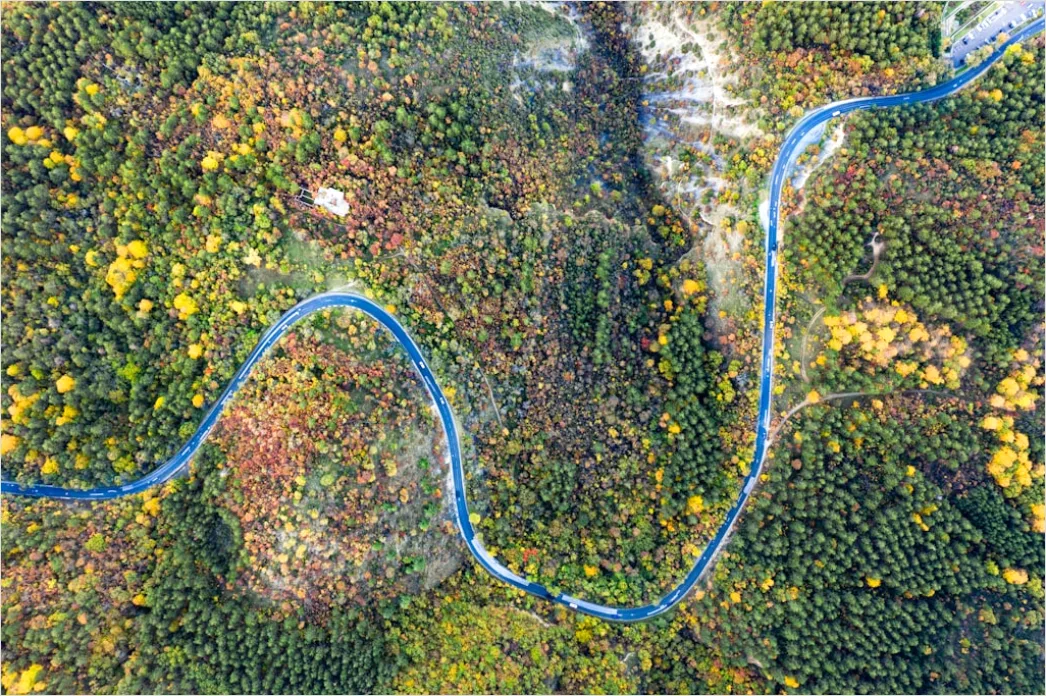 Detail Aerial Autumn Forest Colors Number 18