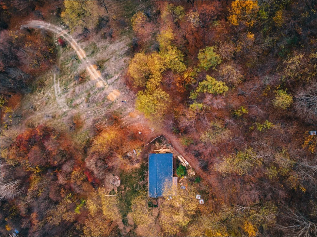 Detail Aerial Autumn Forest Colors Number 20