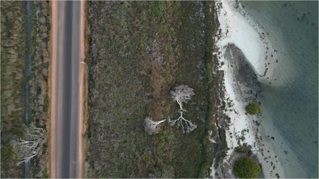 Detail Aerial Coastal Road Number 9