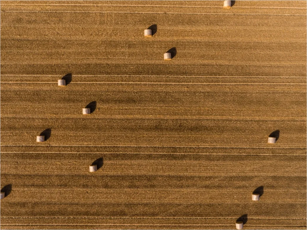 Detail Aerial Crop Rows Pattern Number 2