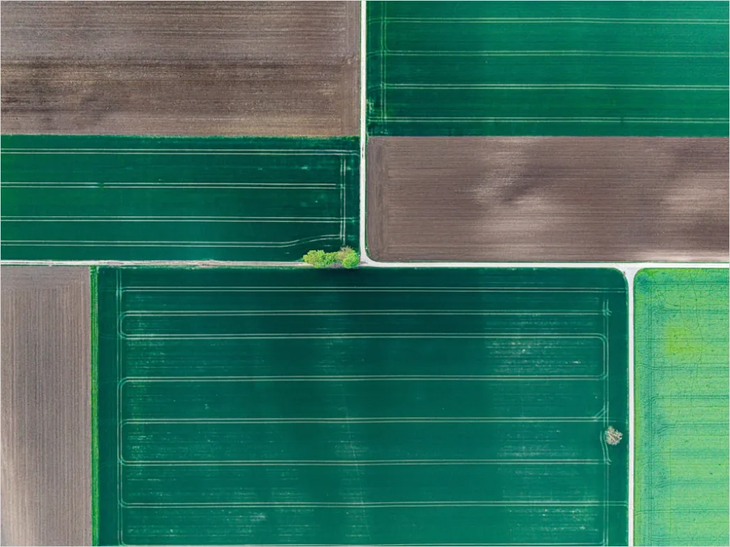 Detail Aerial Crop Rows Pattern Number 7
