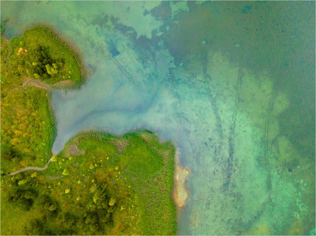 Detail Aerial Estuary From Above Number 12