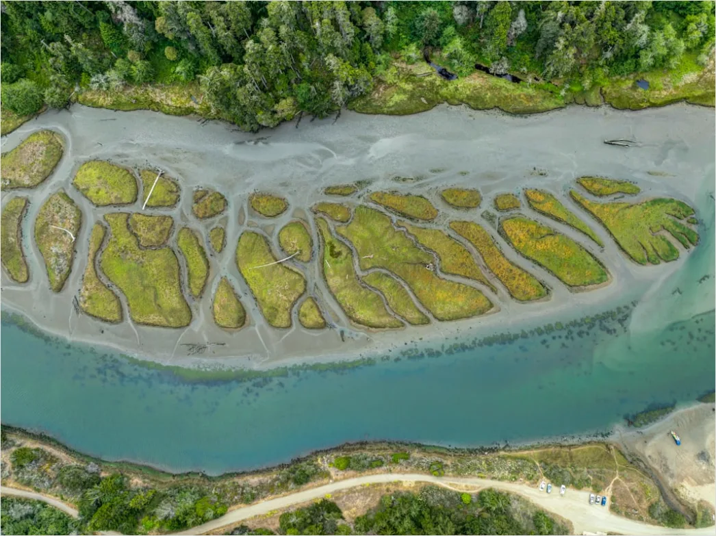 Detail Aerial Estuary From Above Number 13