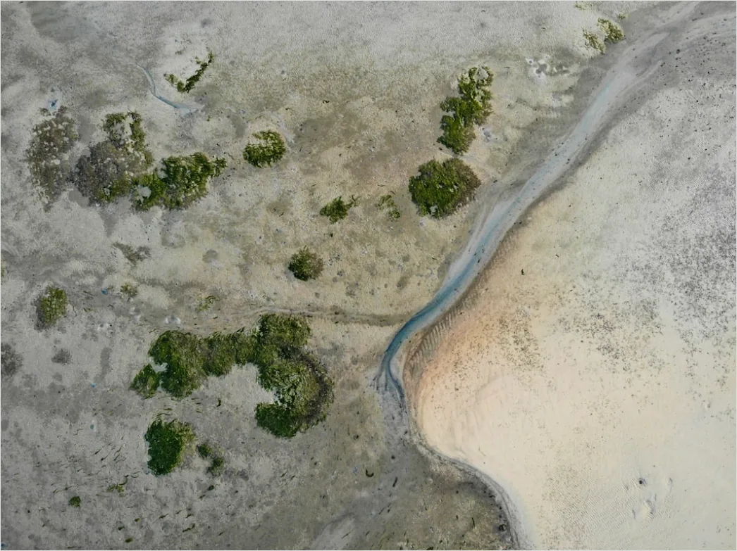 Detail Aerial Estuary From Above Number 19