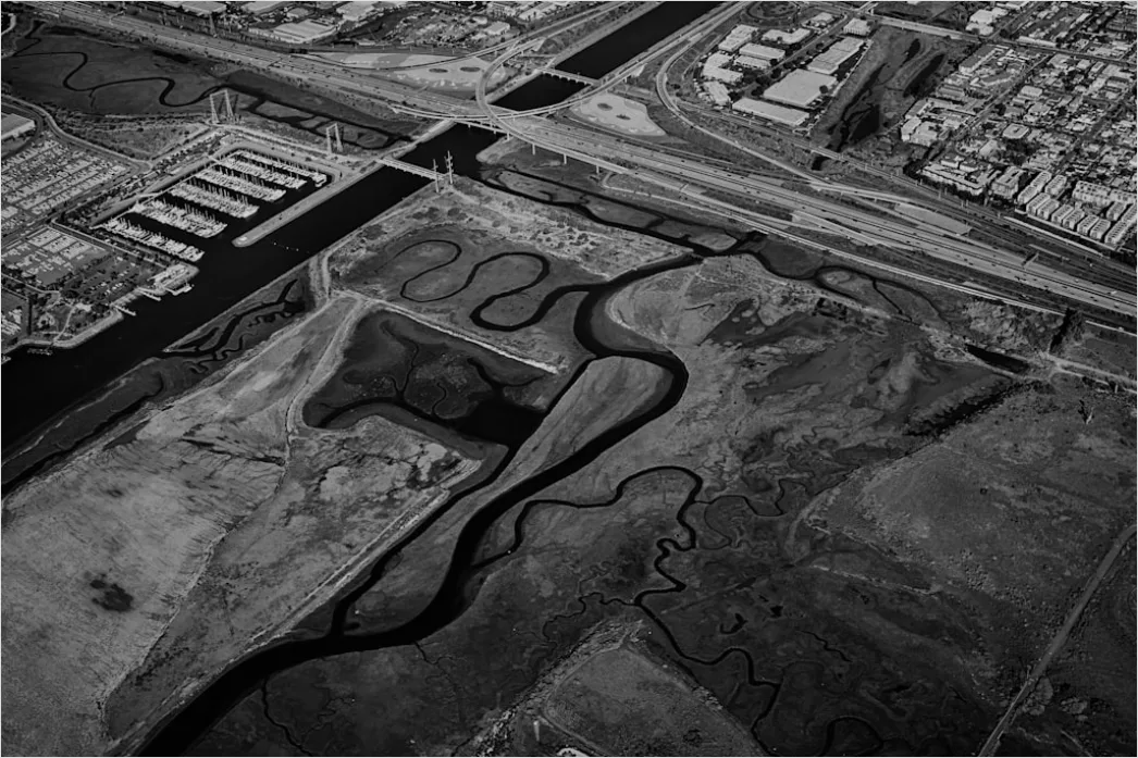 Detail Aerial Estuary From Above Number 3