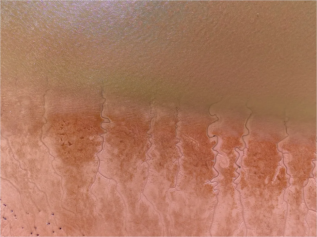 Detail Aerial Estuary From Above Number 5