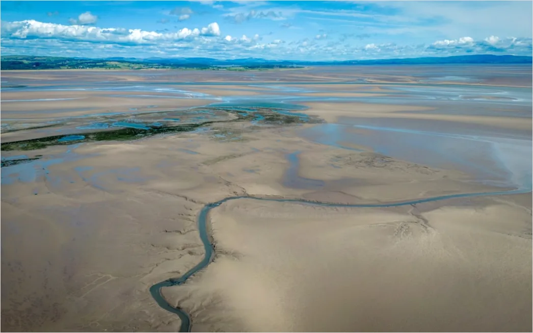 Detail Aerial Estuary From Above Number 7