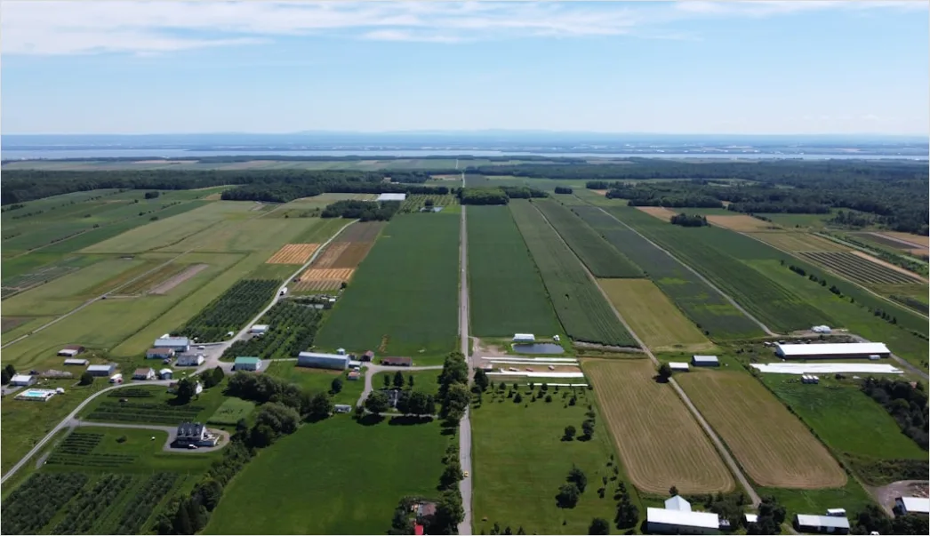 Detail Aerial Farm Property Number 17