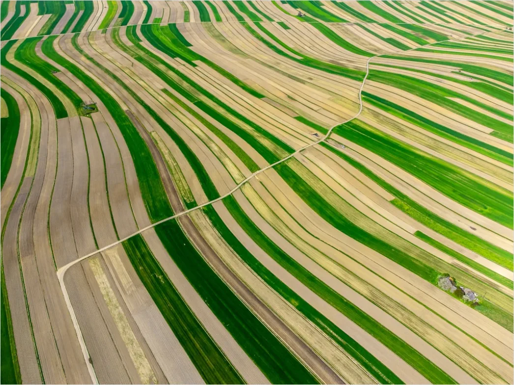Detail Aerial Farmland Geometric Pattern Number 11