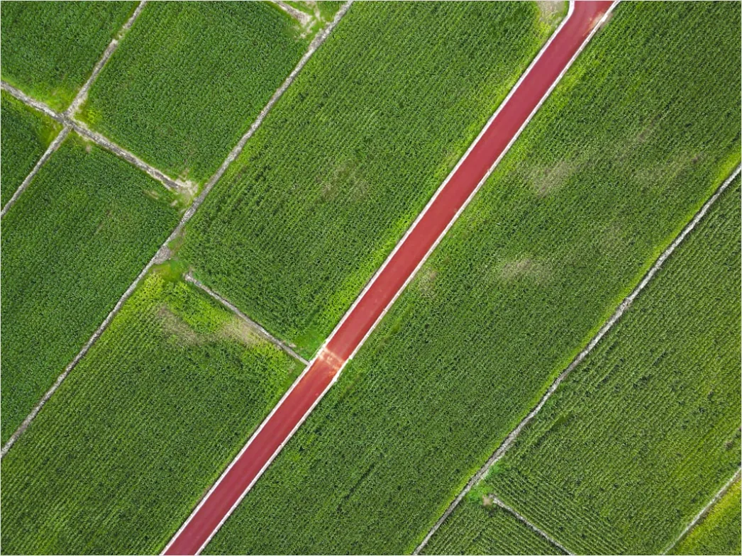 Detail Aerial Farmland Geometric Pattern Number 12
