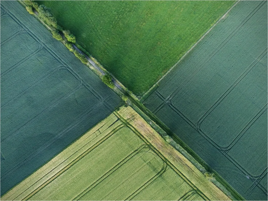 Detail Aerial Farmland Geometric Pattern Number 15