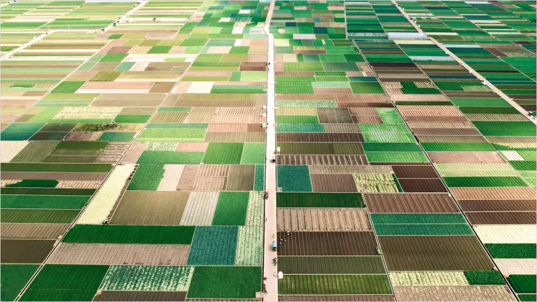 Detail Aerial Farmland Geometric Pattern Number 16