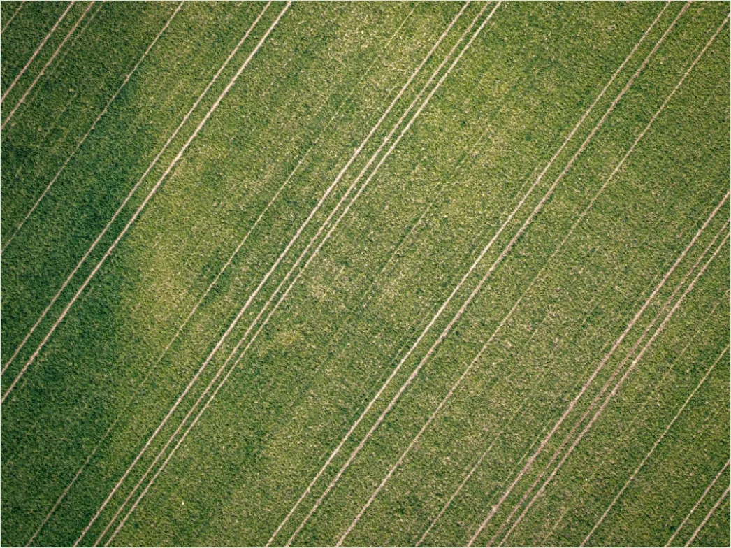 Detail Aerial Farmland Geometric Pattern Number 17