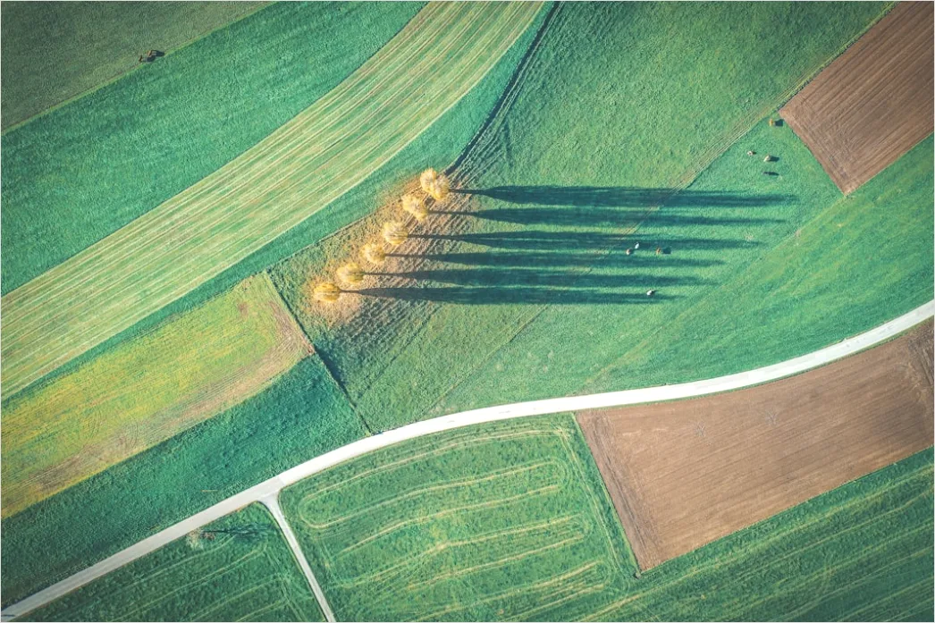 Detail Aerial Farmland Geometric Pattern Number 18