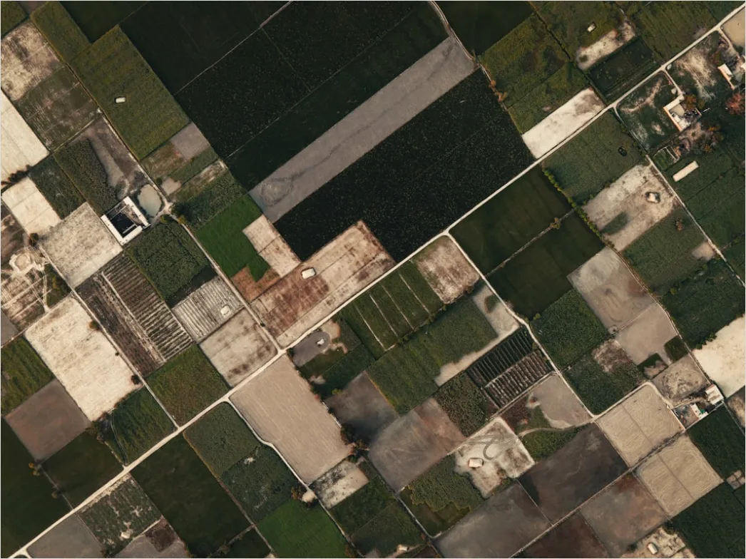 Detail Aerial Farmland Geometric Pattern Number 20