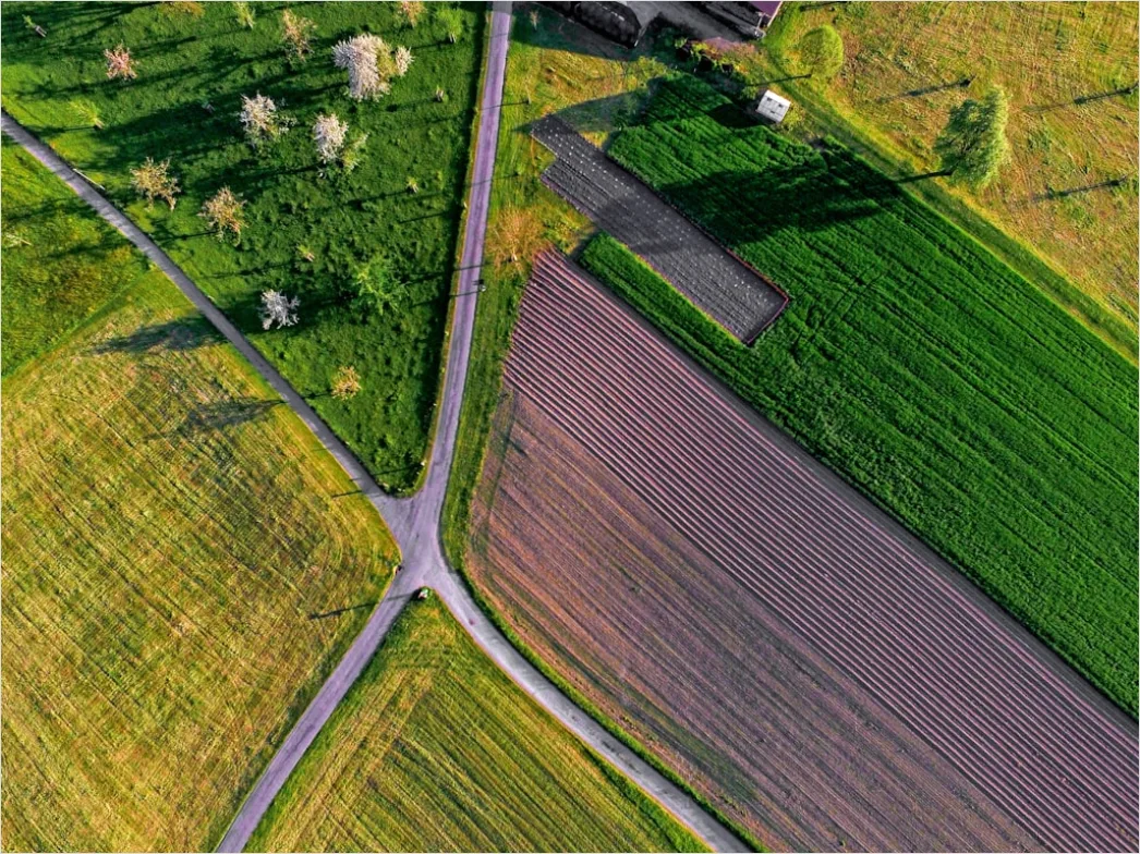 Detail Aerial Farmland Geometric Pattern Number 4