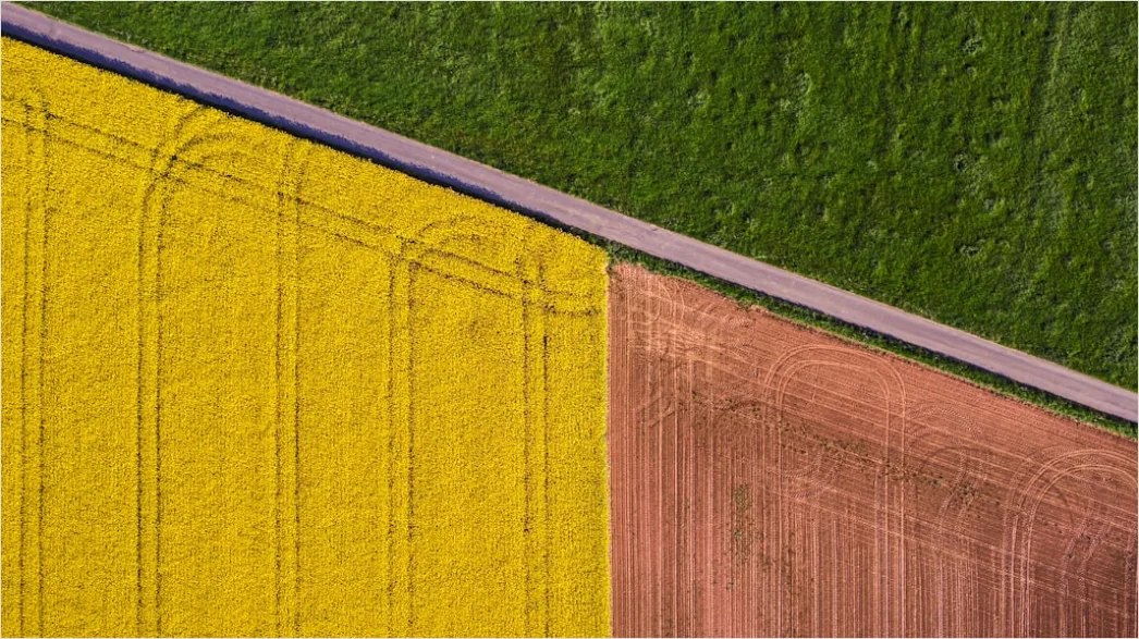 Detail Aerial Farmland Geometric Pattern Number 5