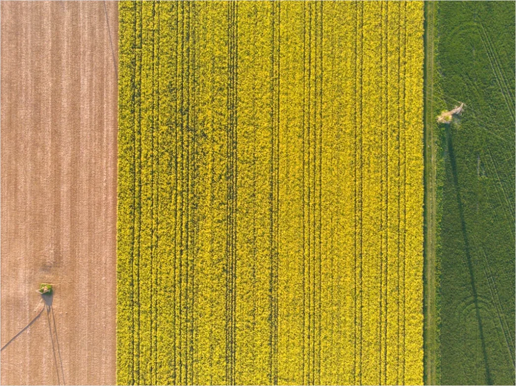 Detail Aerial Farmland Geometric Pattern Number 6