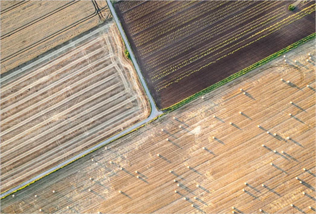 Detail Aerial Farmland Geometric Pattern Number 7