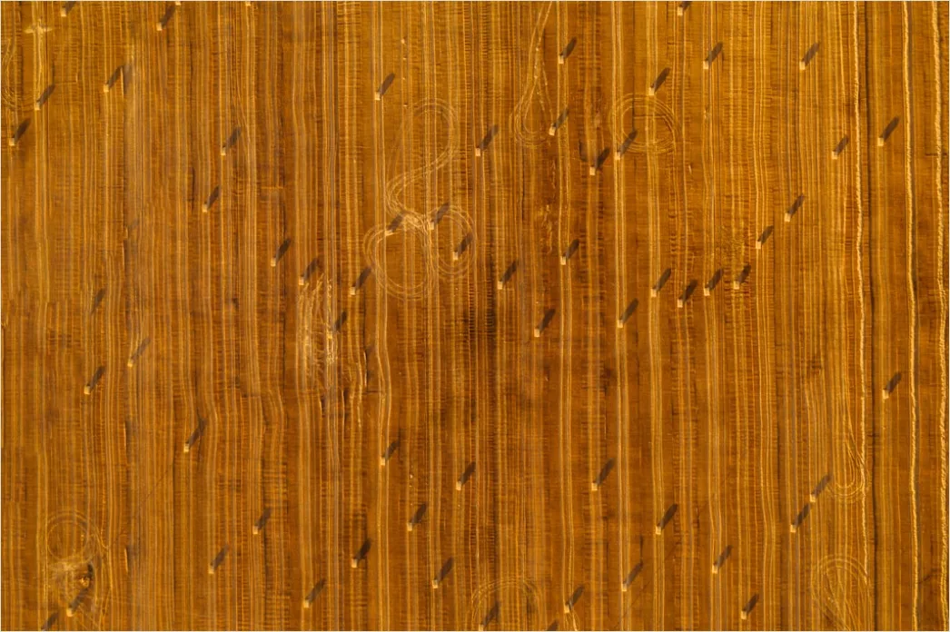 Detail Aerial Farmland Geometric Pattern Number 8