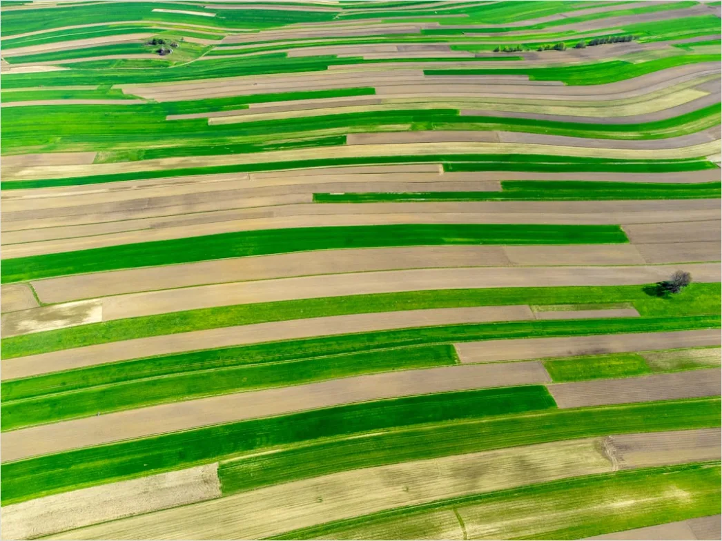 Detail Aerial Farmland Geometric Pattern Number 9