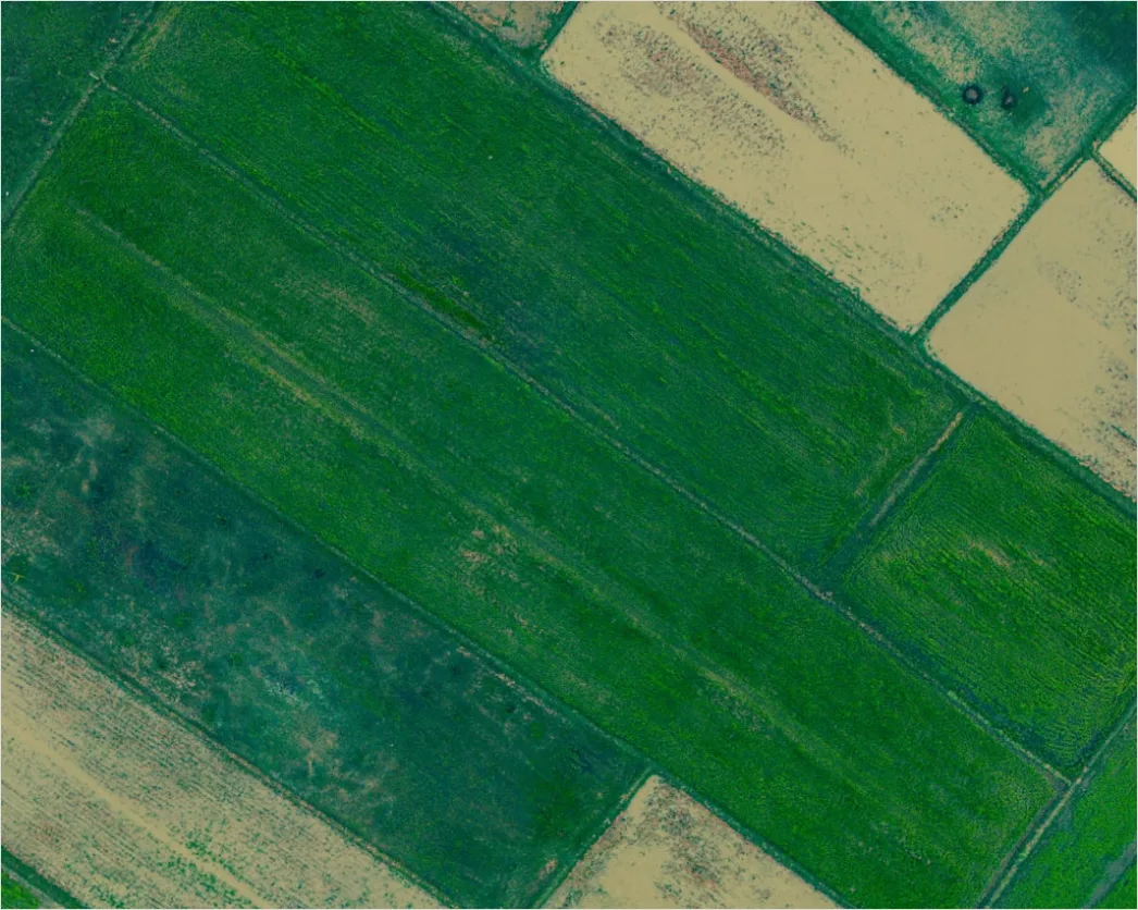 Detail Aerial Farmland Geometric Pattern Number 10