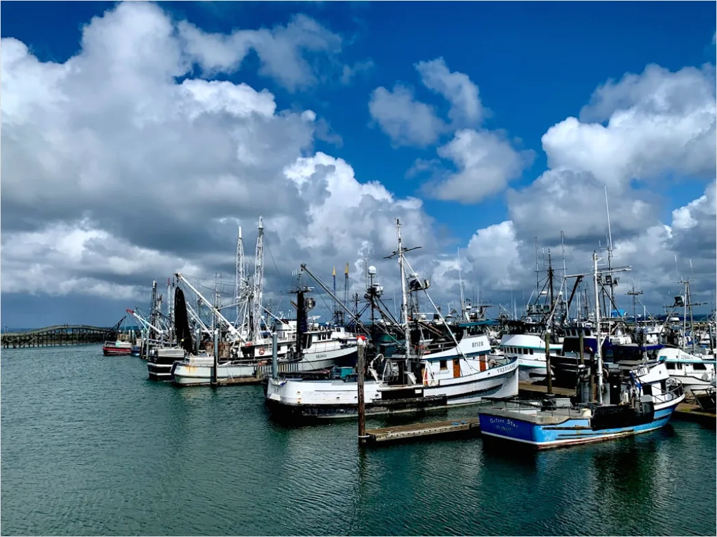 Detail Aerial Fishing Boats Harbor Number 2