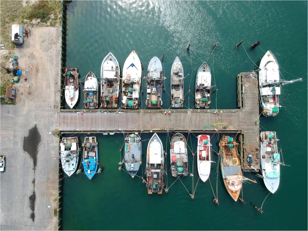 Detail Aerial Fishing Boats Harbor Number 11