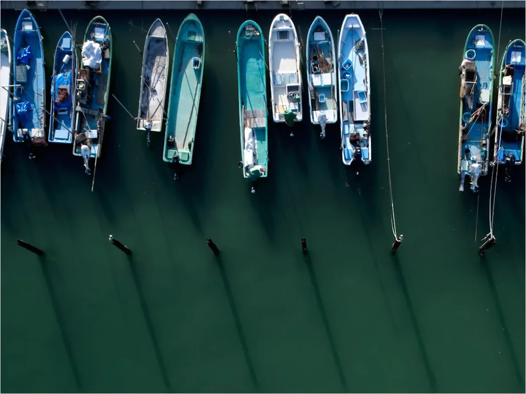 Detail Aerial Fishing Boats Harbor Number 12