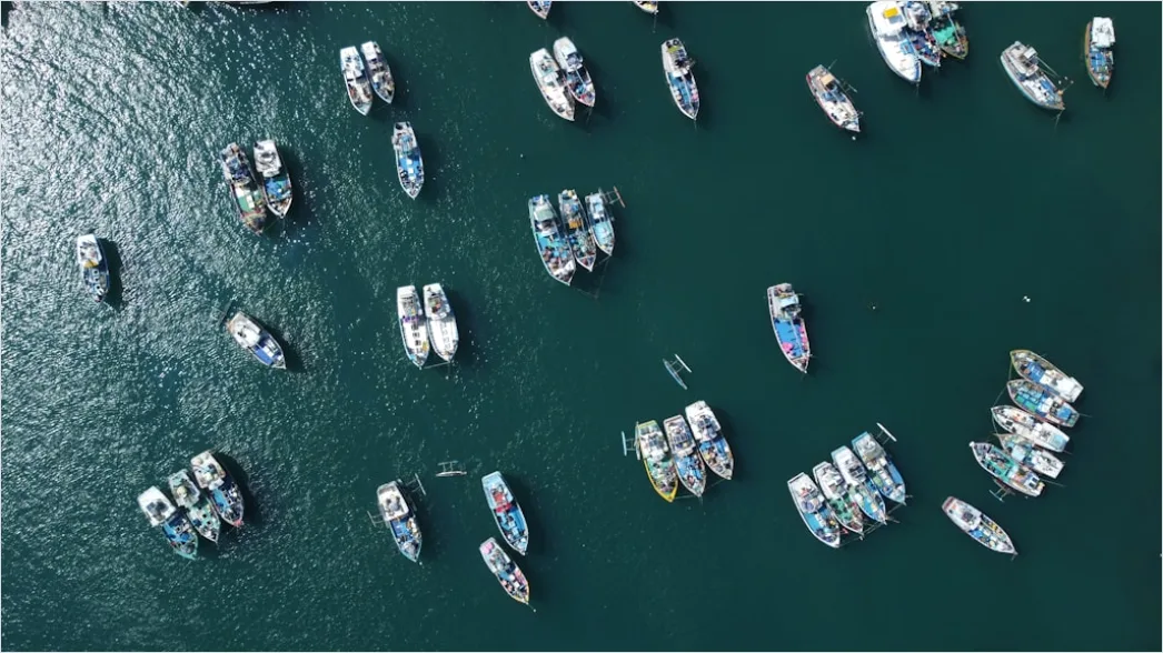 Detail Aerial Fishing Boats Harbor Number 18
