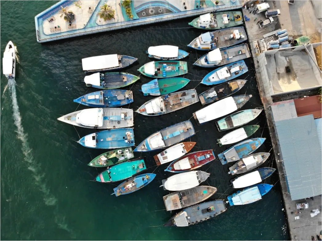 Detail Aerial Fishing Boats Harbor Number 20