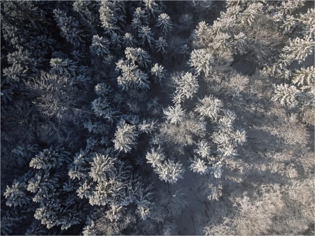 Detail Aerial Ice Patterns Number 18