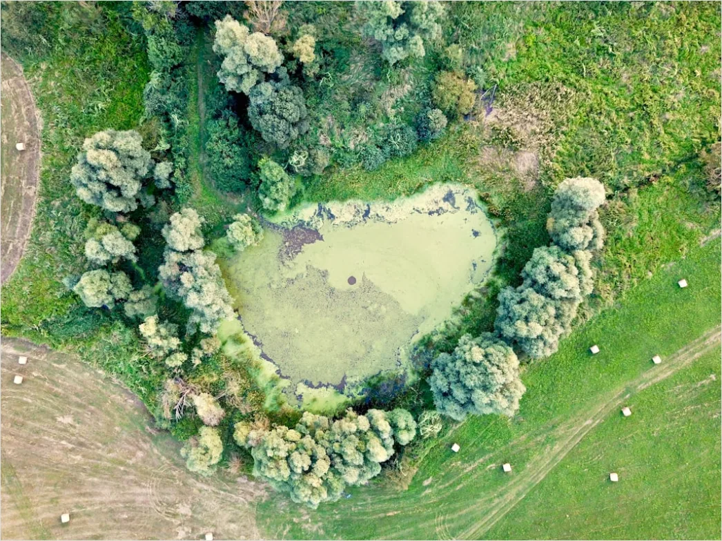 Detail Aerial Lake From Above Number 6