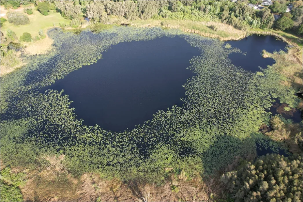 Detail Aerial Lake From Above Number 9