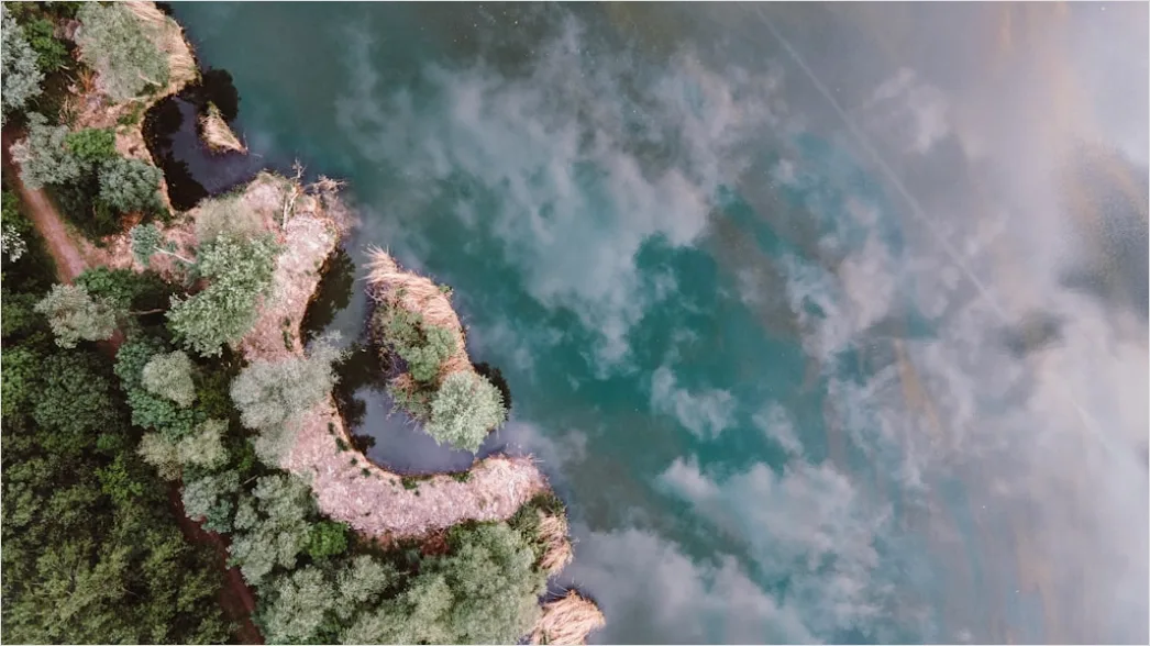 Detail Aerial Lake Shore Number 13