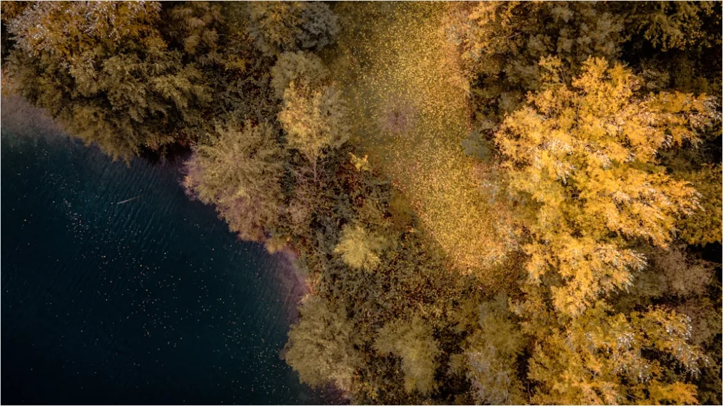 Detail Aerial Lake Shore Number 15