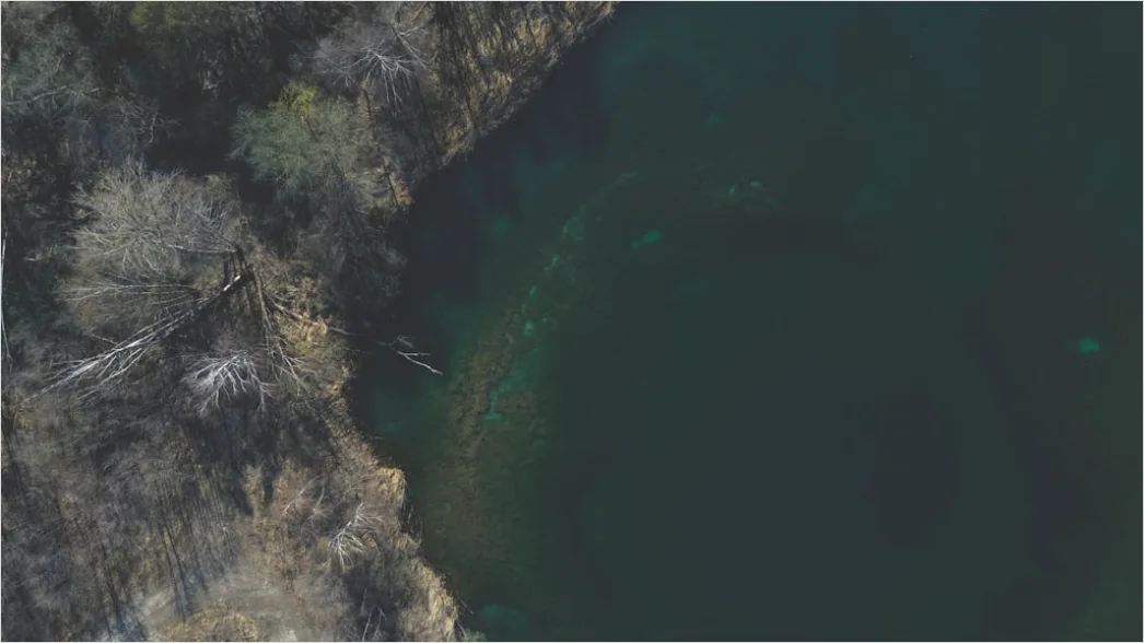Detail Aerial Lake Shore Number 17