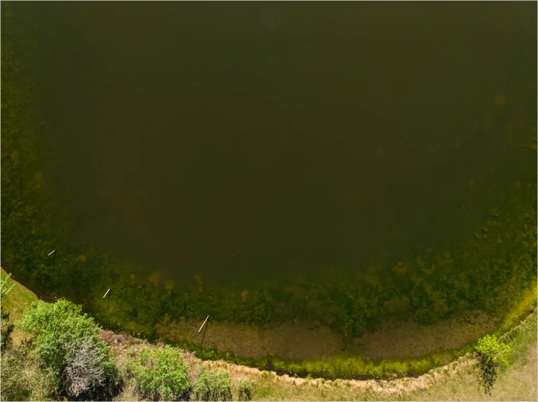 Detail Aerial Lake Shore Number 6
